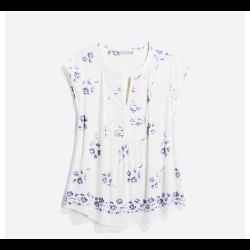 Daniel Rainn top